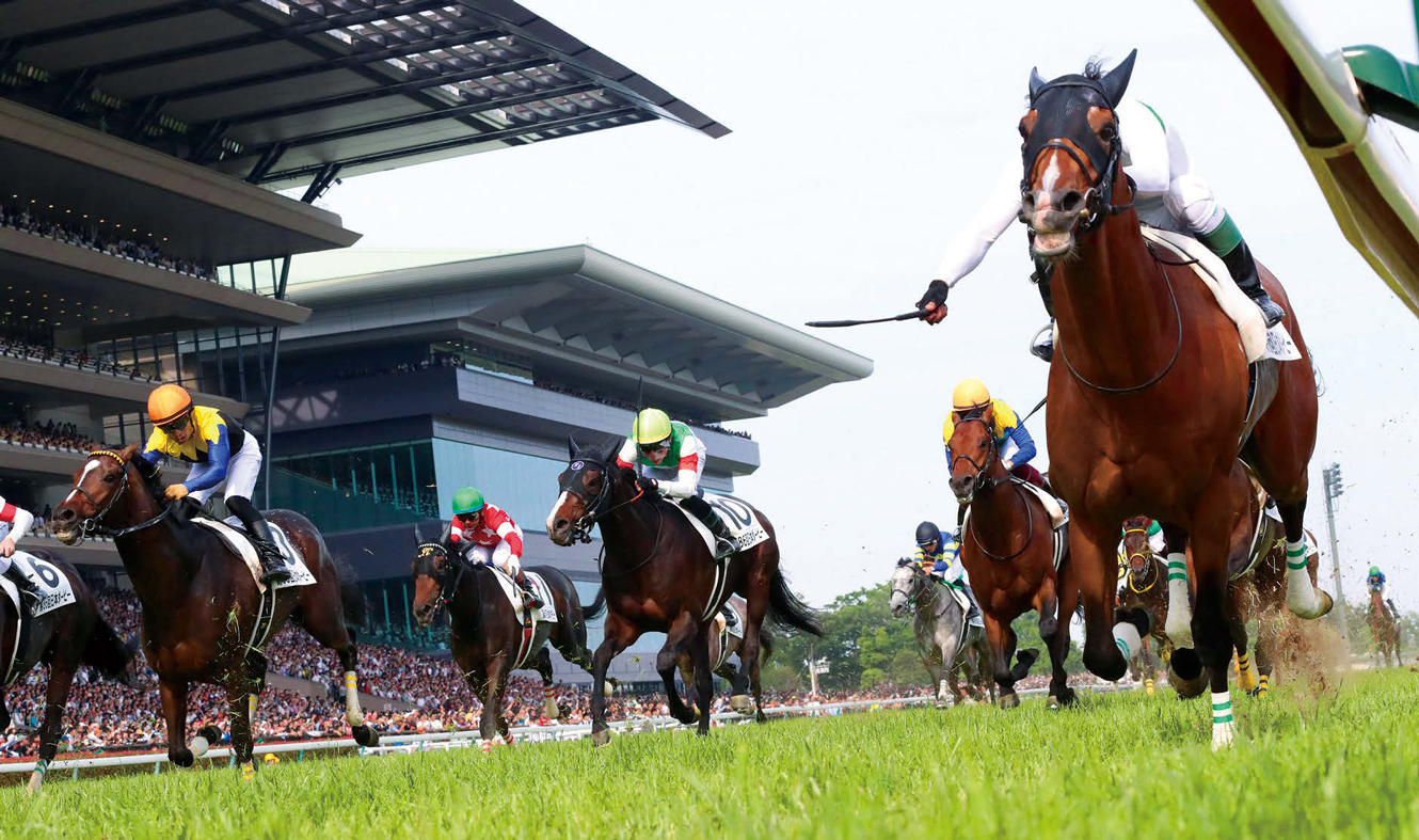 競馬　初心者　