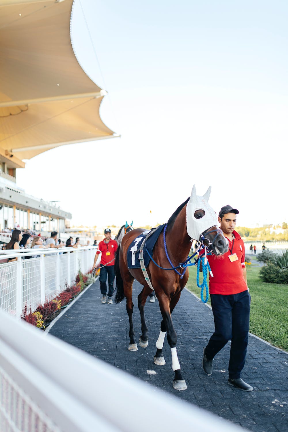 競馬　競馬初心者　馬二郎　競馬勝ち方　的中する方法